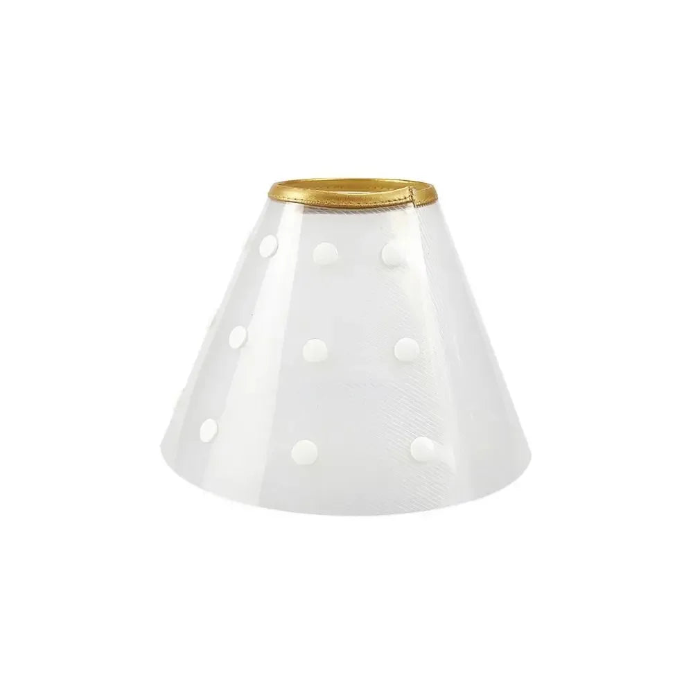 E-Collar/ Recovery Cone