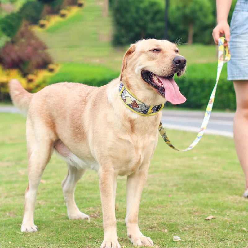 Patchwork Collar/Leash Set