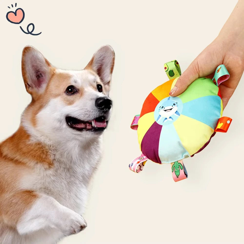 Plush Squeaky Toy