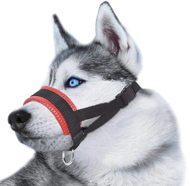 Soft Padded Head Halter