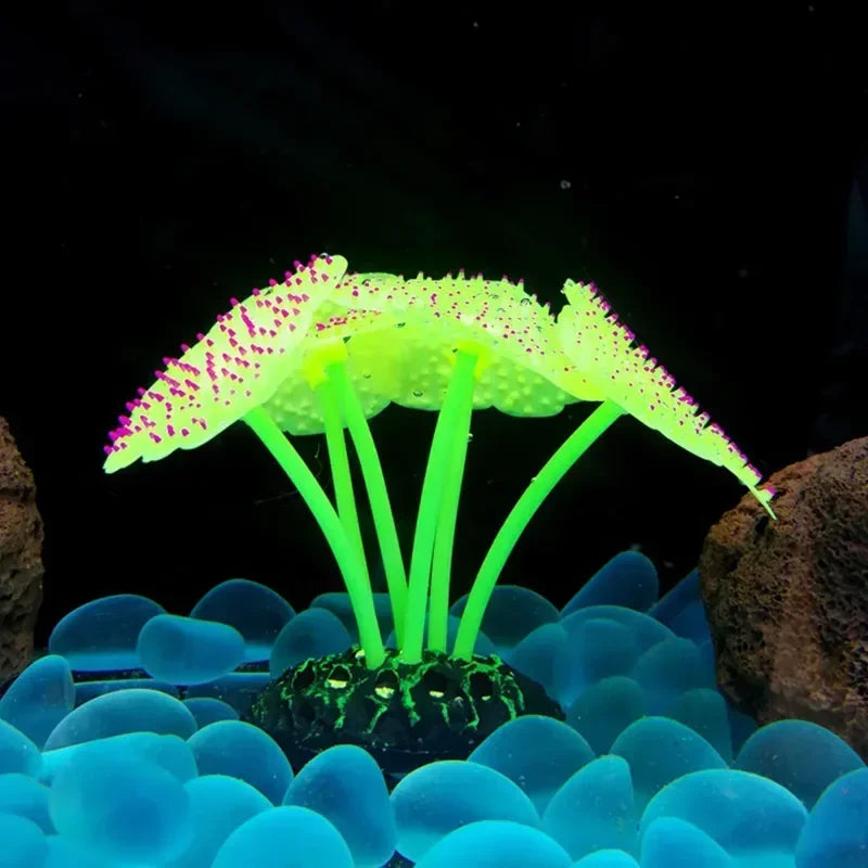 Aquarium Decor