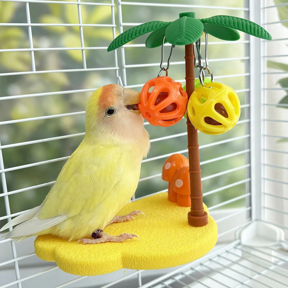 Bird Perch Toy