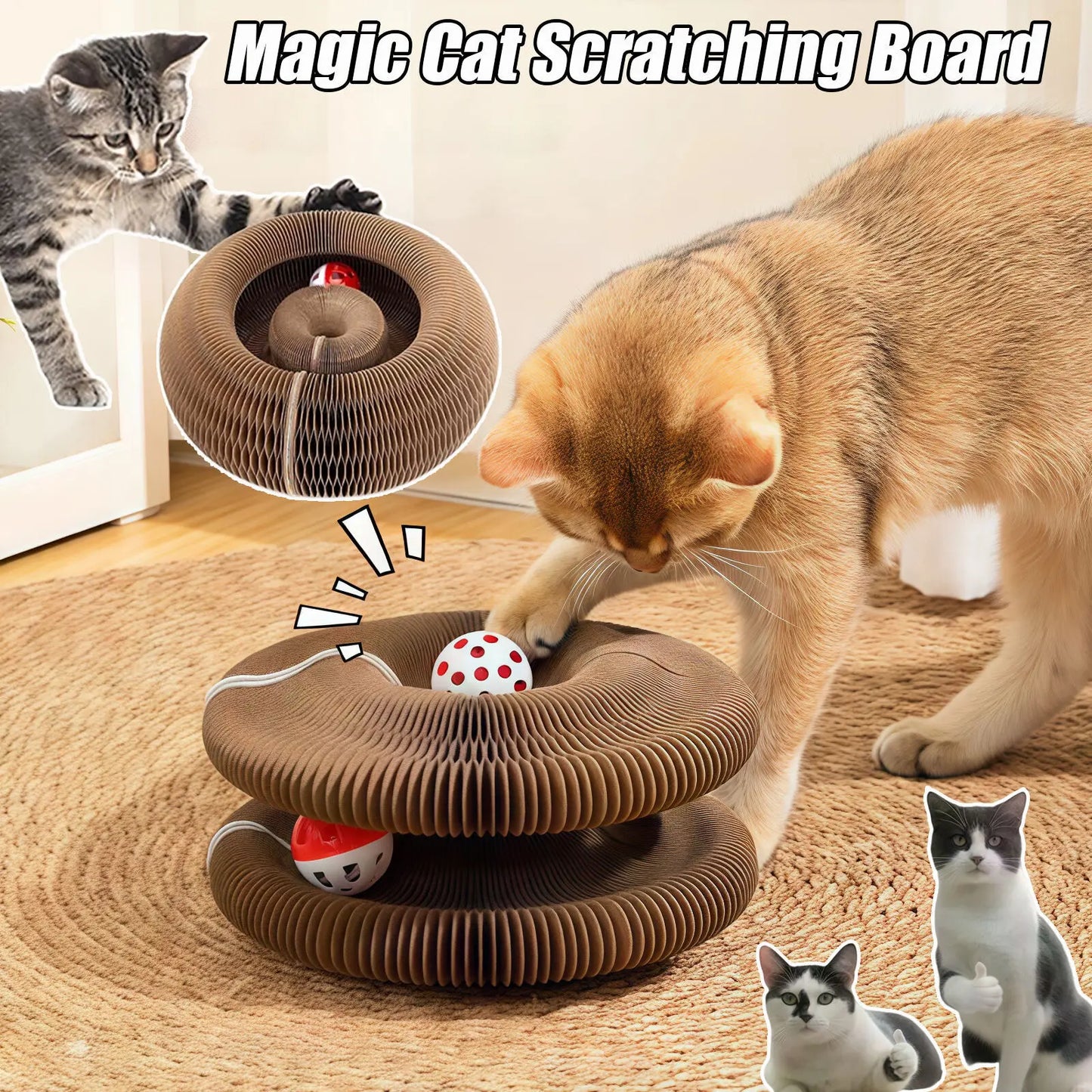 Magic Organ Cat Scratch Toy