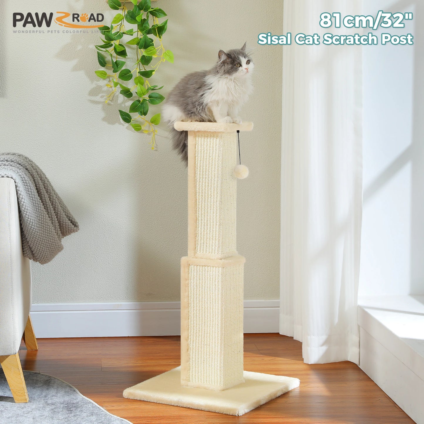 Cat Scratching Post