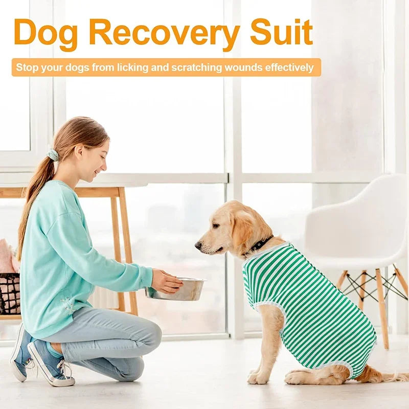 Medium/ Large Dog Recovery Suit