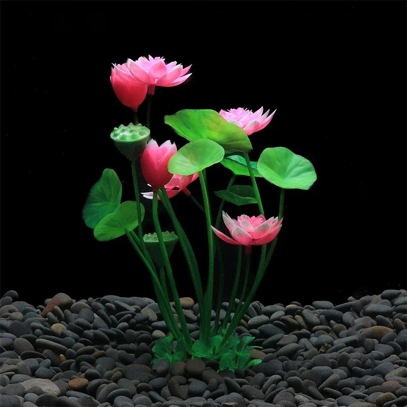 Aquarium Decor