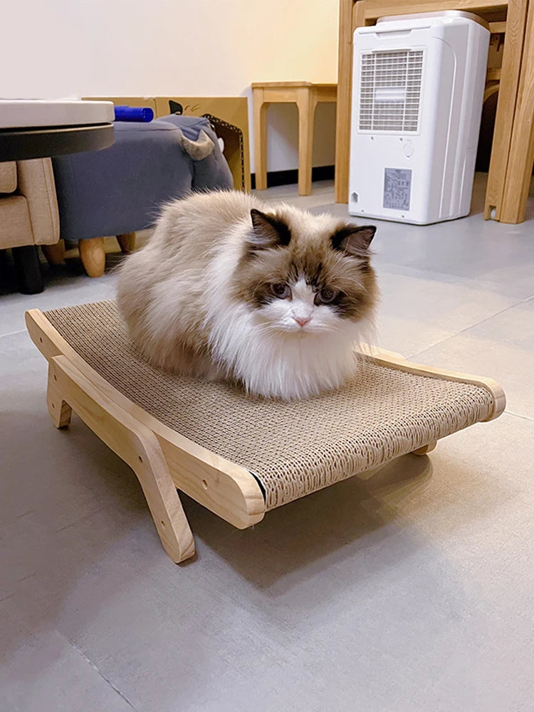Cat Scratching Board