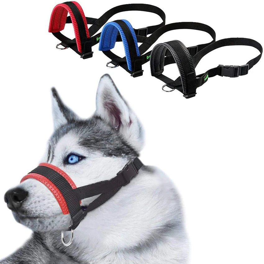 Soft Padded Head Halter