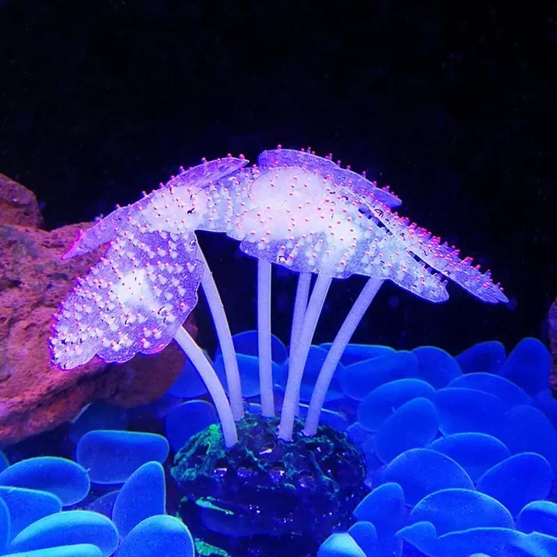 Aquarium Decor