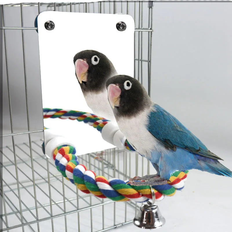 Bird Mirror Toy/Stand