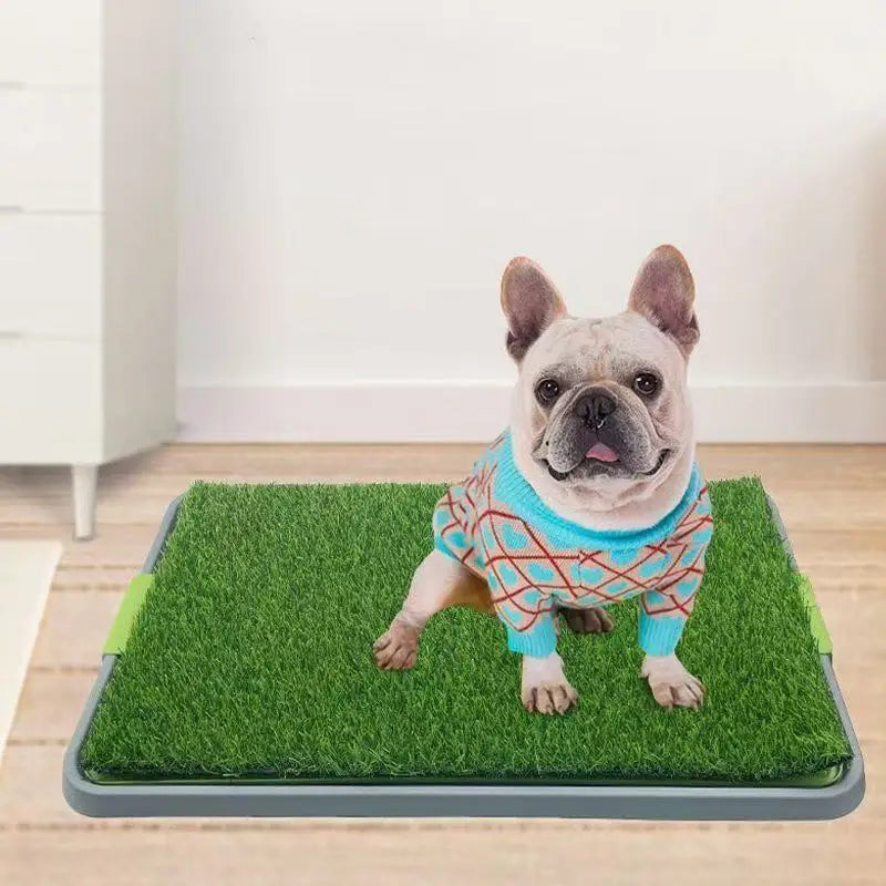 Reusable Artificial Turf (Turf Only)