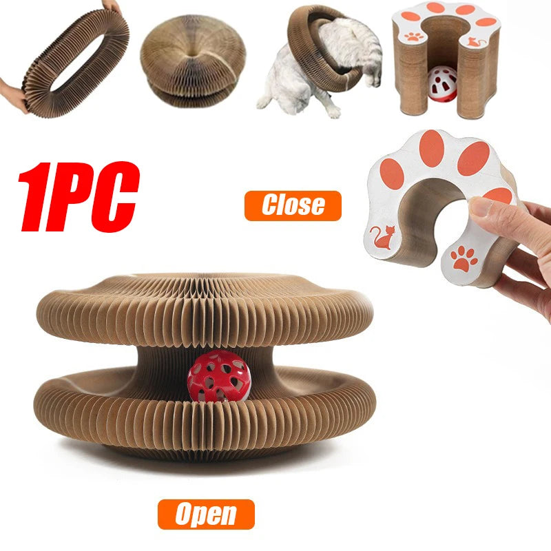 Magic Organ Cat Scratch Toy