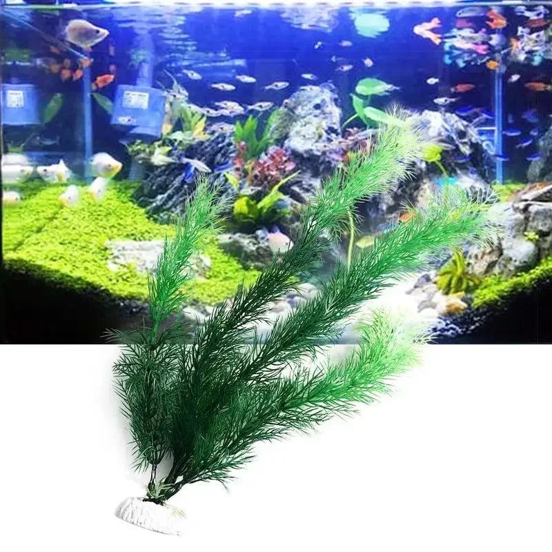 Aquarium Decor