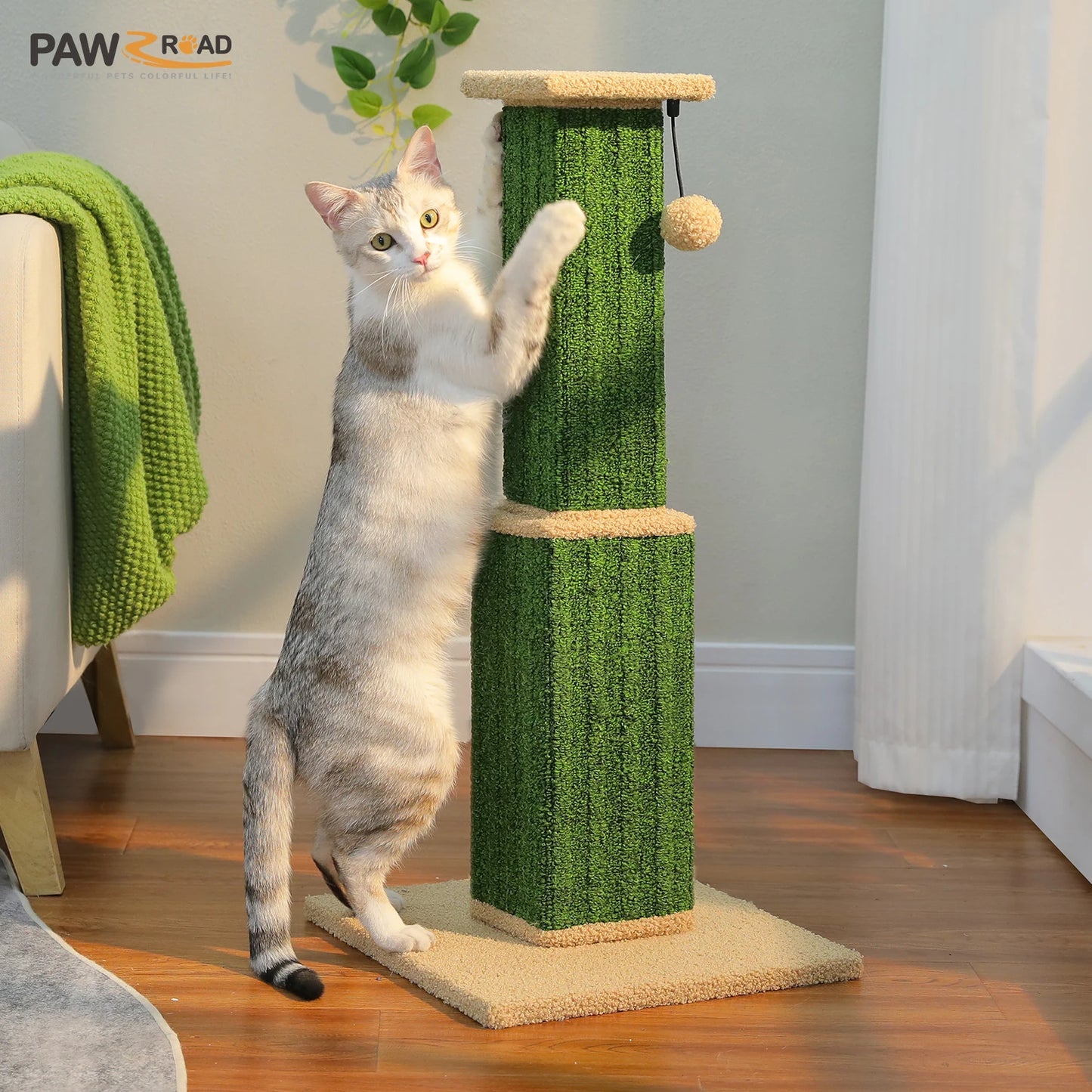 Cat Scratching Post