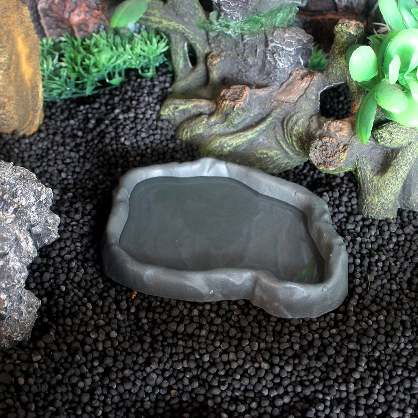 Reptile Food Bowl