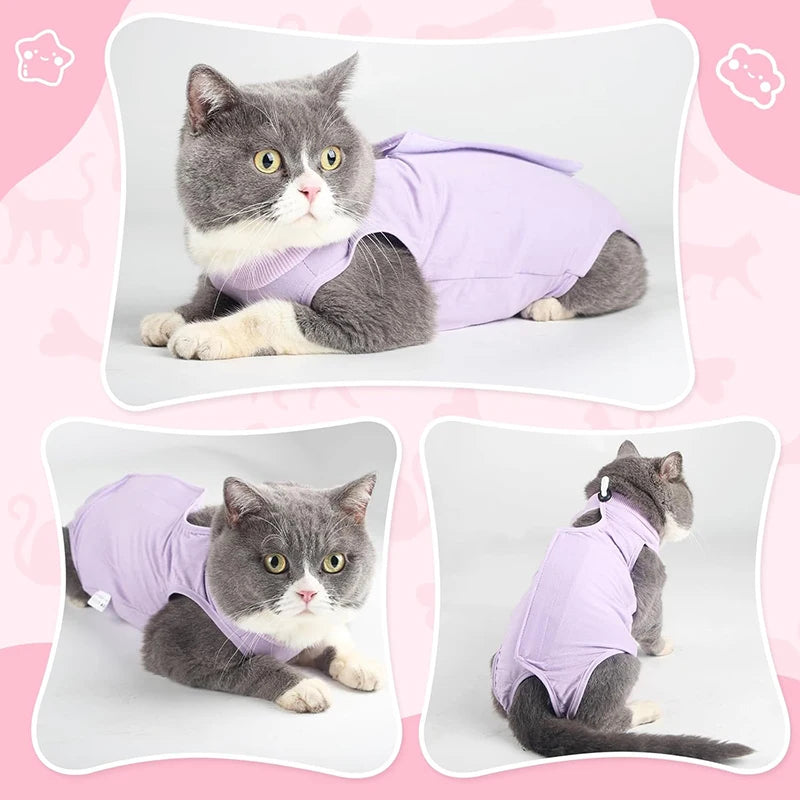 Pet Surgery Recovery Suit