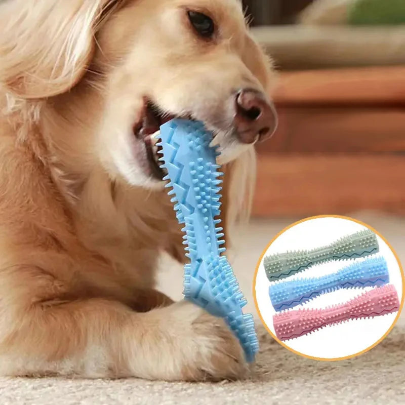 Dog Chew Toy
