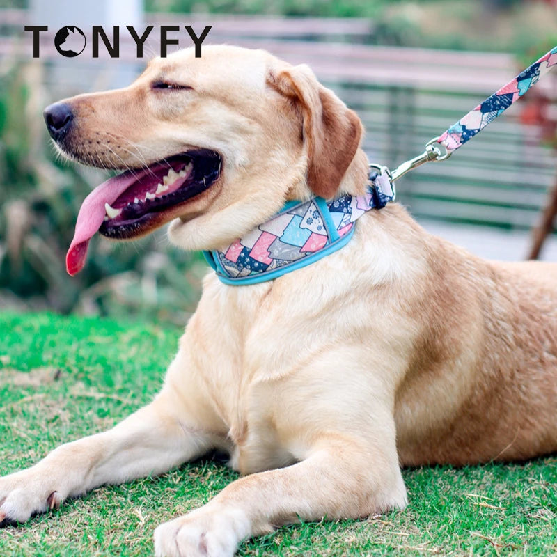 Patchwork Collar/Leash Set