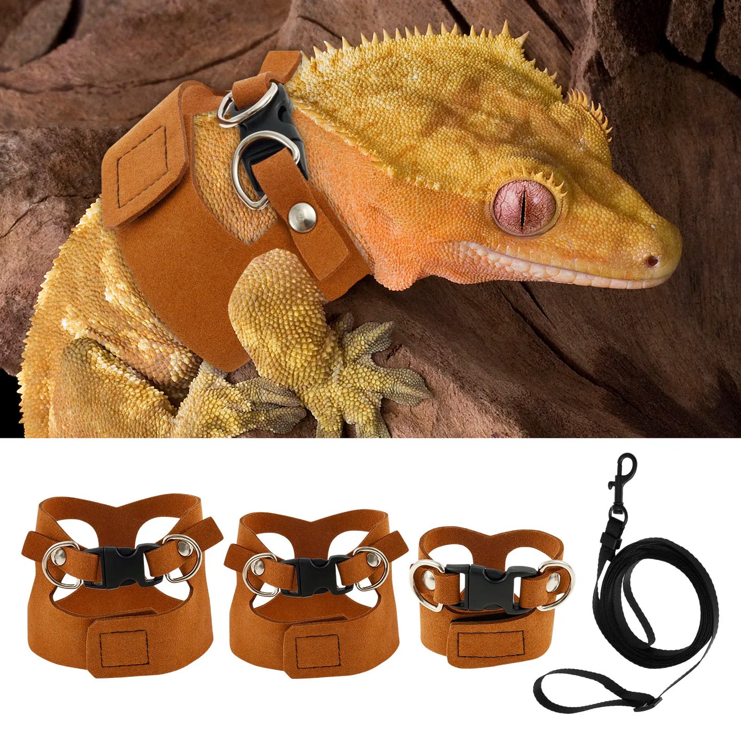 3Pc/size Reptile Harness