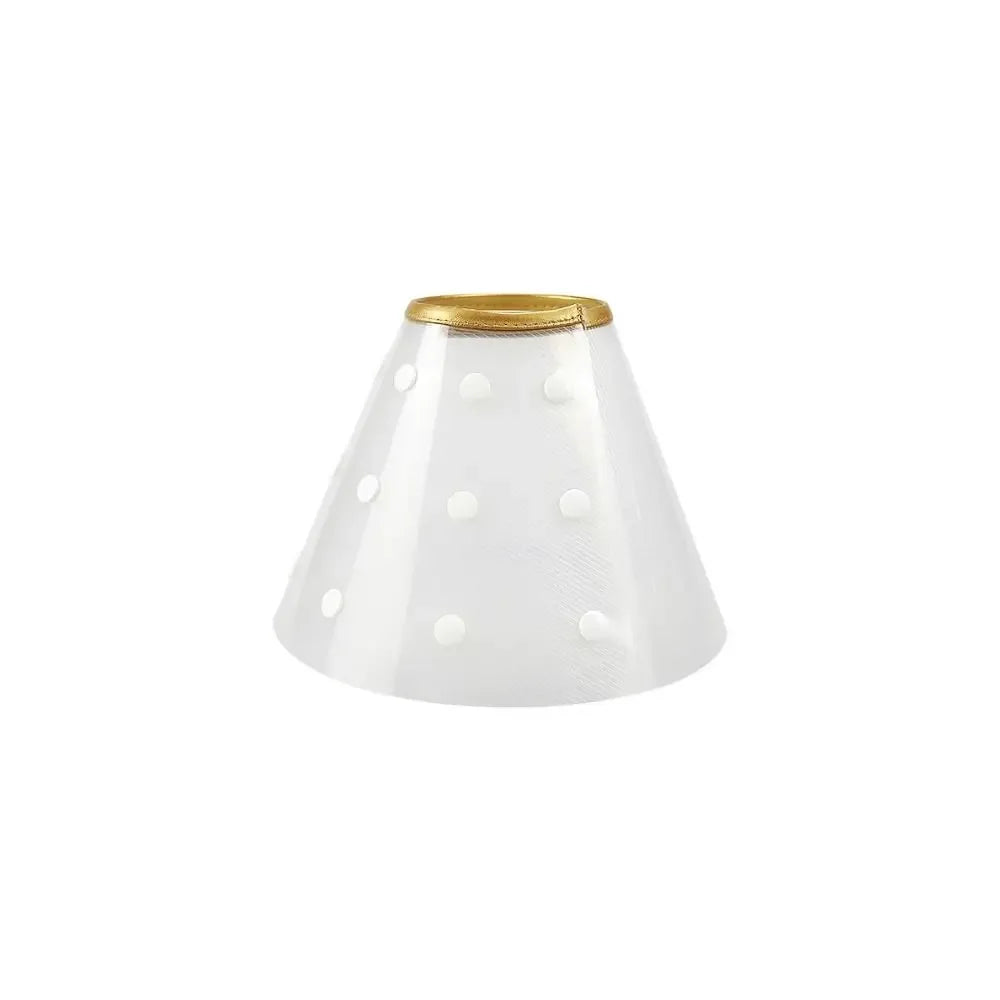 E-Collar/ Recovery Cone
