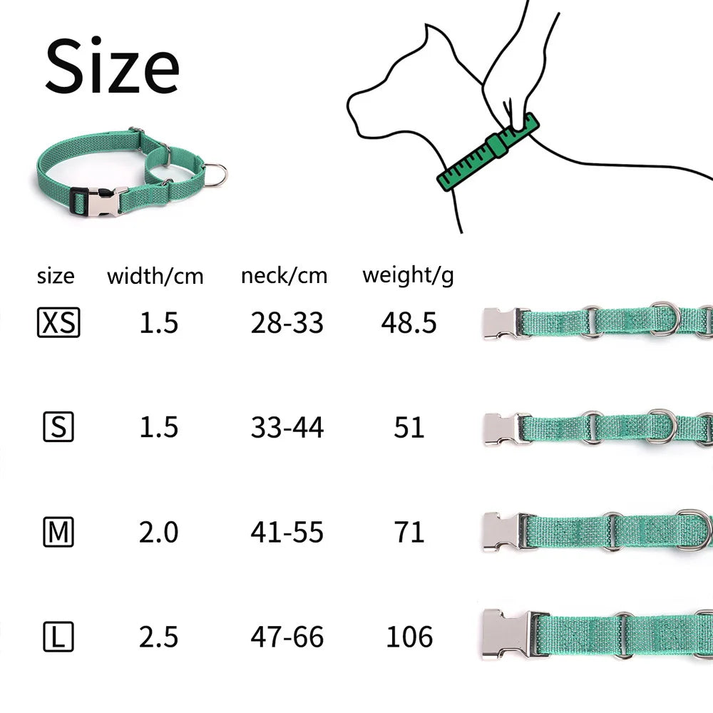 Martingale Collar