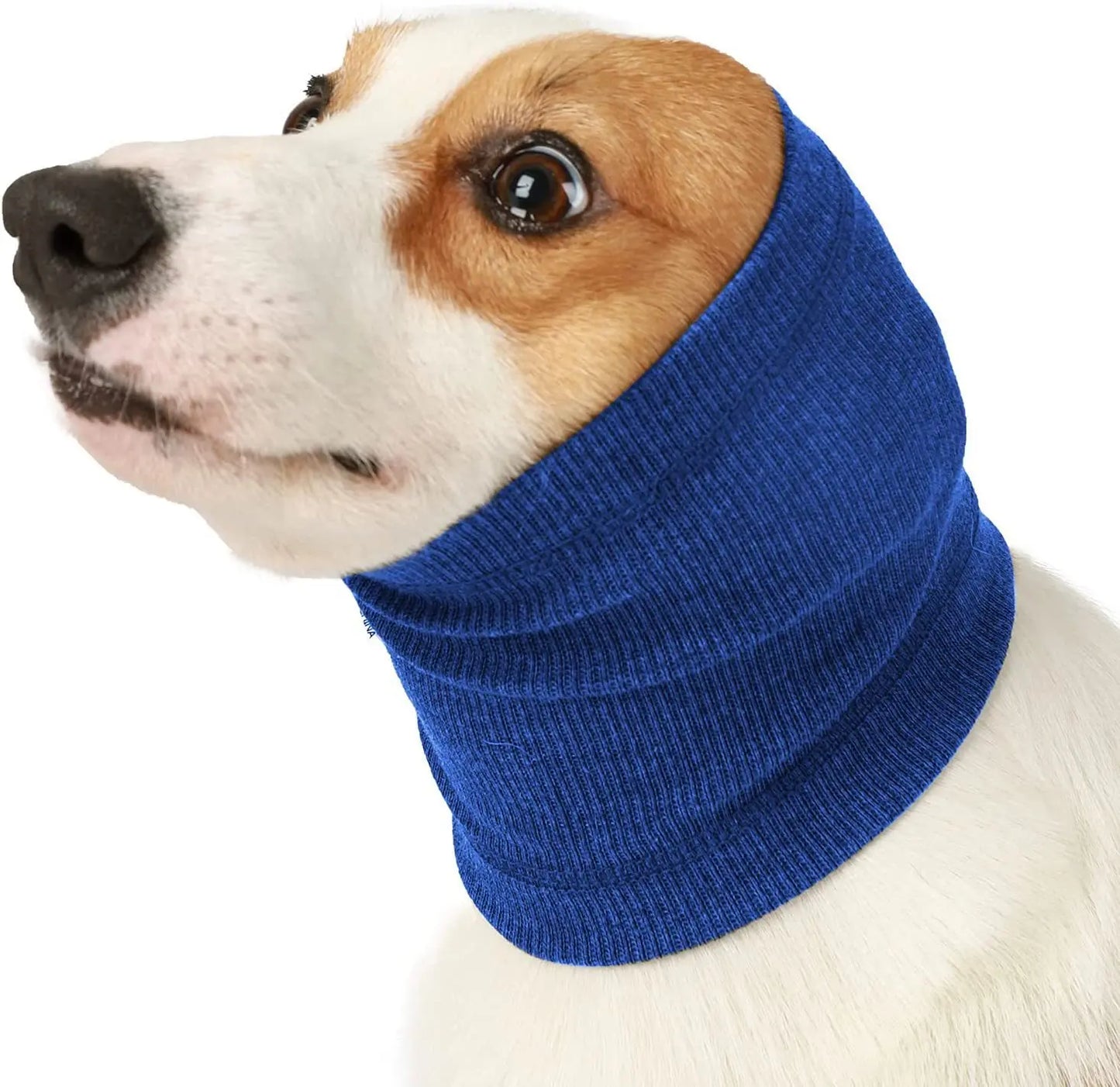 Ear Protection Hoodie