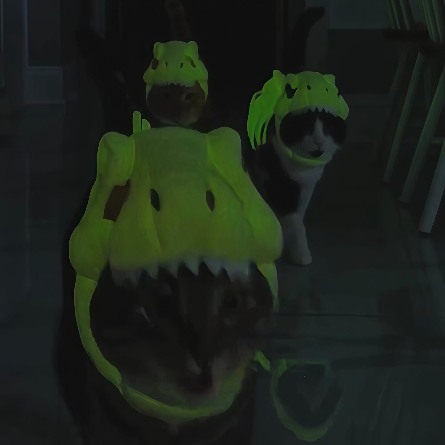 Dinosaur Skeleton Cat Costume