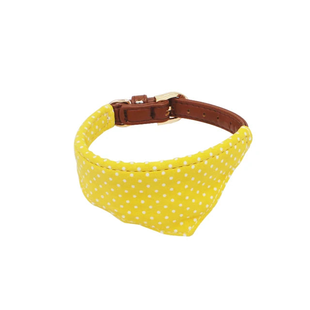 Bandanna/Bow Collar/Leash