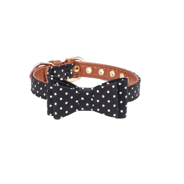 Bandanna/Bow Collar/Leash