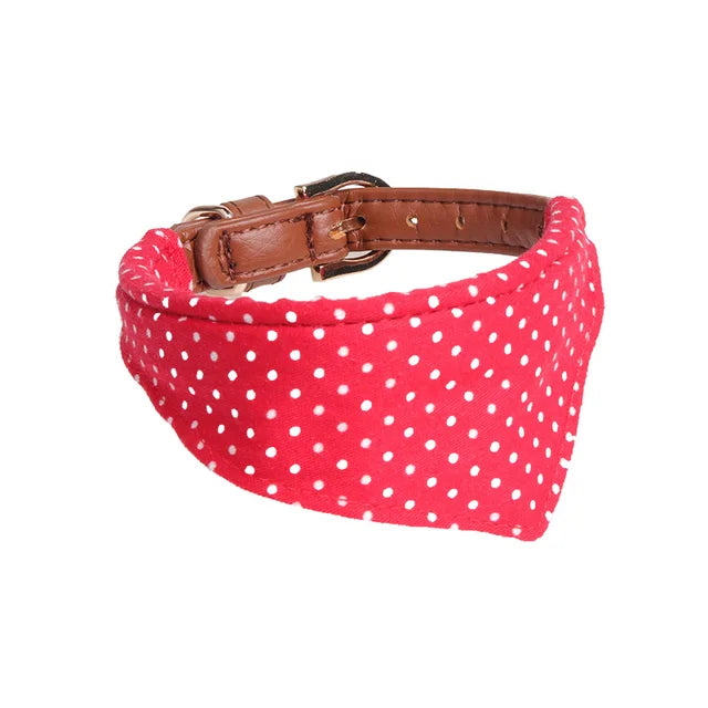 Bandanna/Bow Collar/Leash
